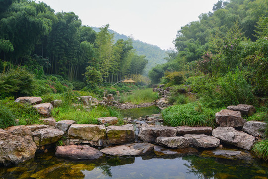江蘇宜興竹海風景區(qū)夏日迷人風光