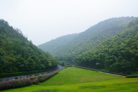 江蘇宜興竹海風(fēng)景區(qū)夏日迷人風(fēng)光