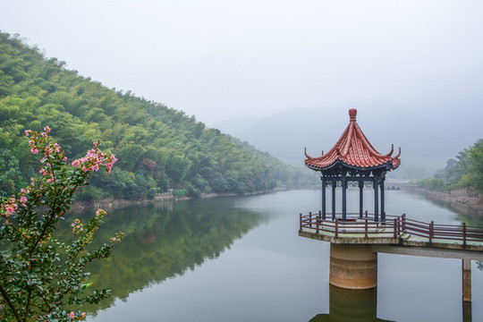 江蘇宜興竹海風(fēng)景區(qū)夏日迷人風(fēng)光