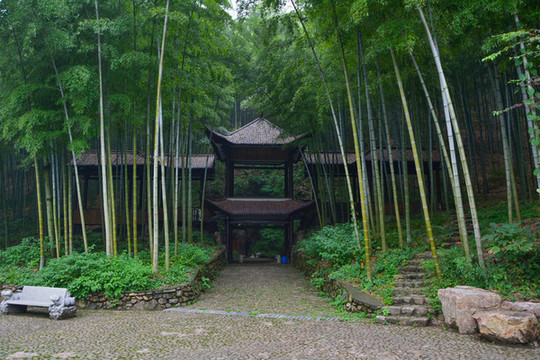 江蘇宜興竹海風(fēng)景區(qū)夏日迷人風(fēng)光