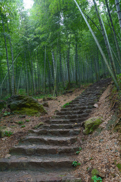 江蘇宜興竹海風(fēng)景區(qū)夏日迷人風(fēng)光