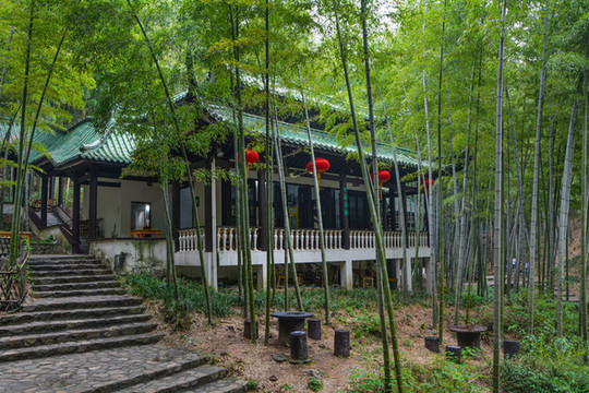 江蘇宜興竹海風(fēng)景區(qū)夏日迷人風(fēng)光