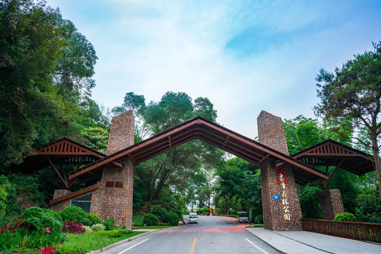 廣西高峰森林公園