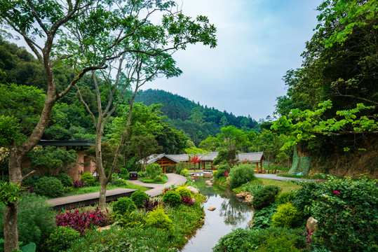 廣西高峰森林公園中式園林景觀