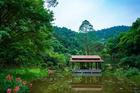 廣西高峰森林公園