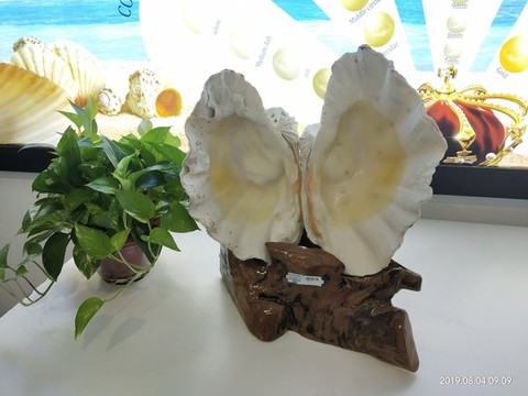 硨榘