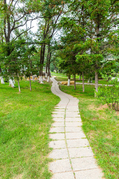 公園小路公園小徑嵌草石路