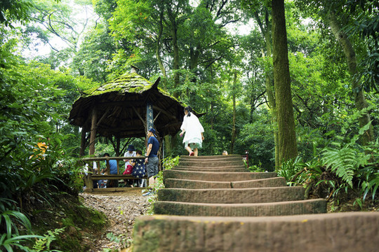 青城山