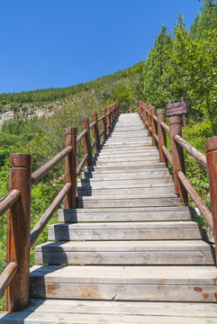 登山云梯