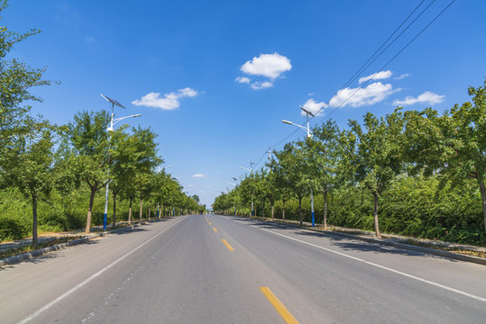公路透視圖