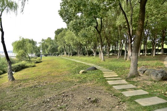 公園小路