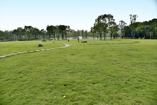 綠地草坪