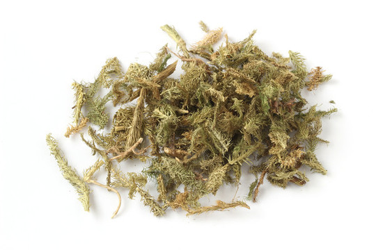 中藥伸筋草