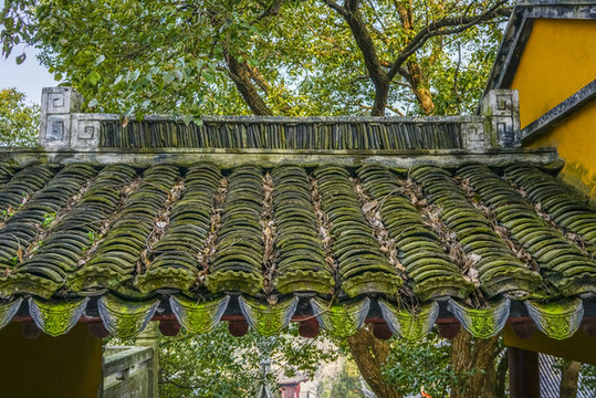 屋頂瓦當(dāng)高清大圖