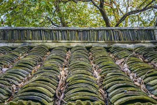 屋頂瓦當(dāng)高清大圖