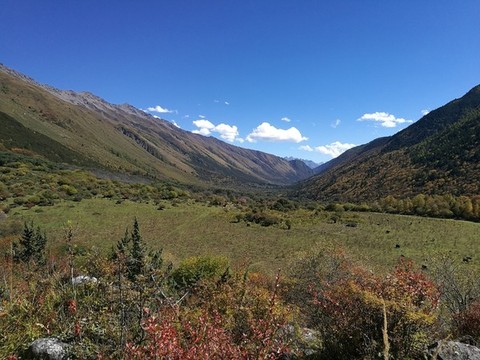 高原景色