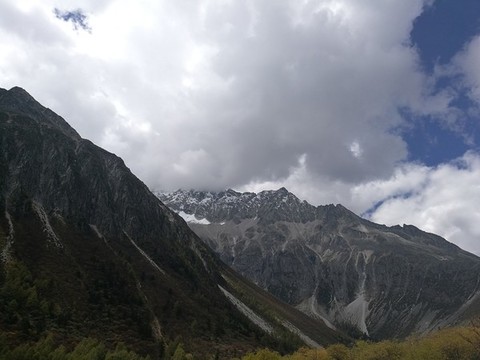 高原景色