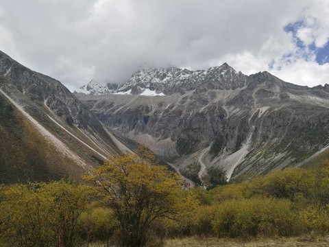 高原風景