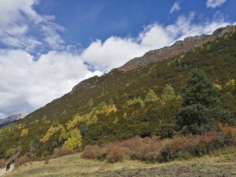 高原風(fēng)光