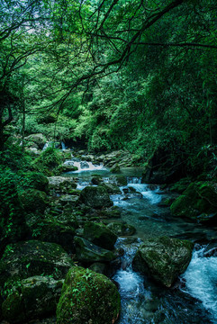 青城后山景區(qū)