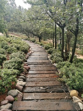 公園小路