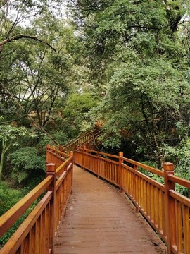鋼架基礎(chǔ)木棧道