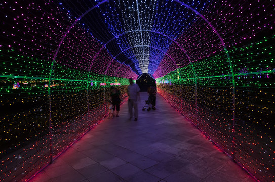 彩燈節(jié)日燈展夜景時(shí)空遂道