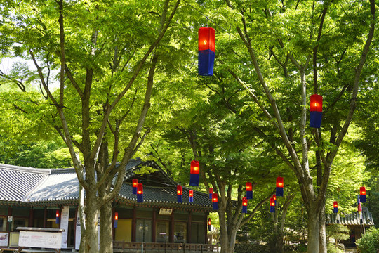 韩国民俗村的灯笼