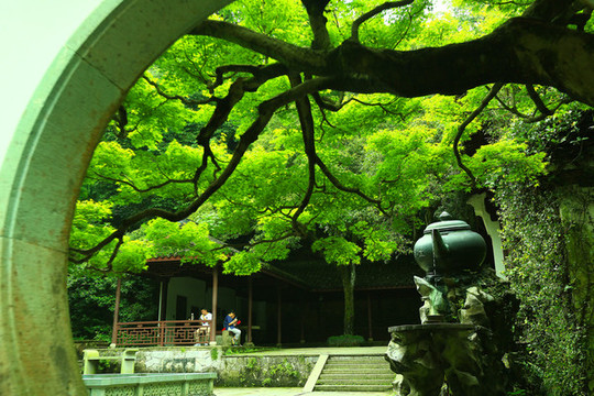 虎跑夢(mèng)泉