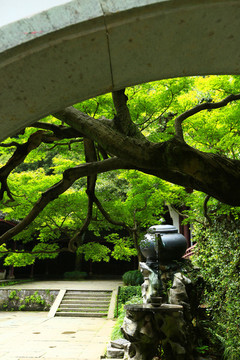 虎跑夢(mèng)泉