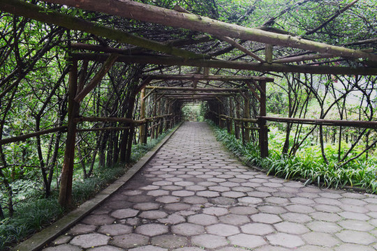 林蔭小道