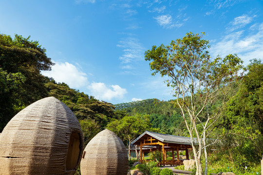 廣西高峰森林公園