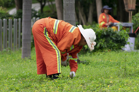 園藝工人