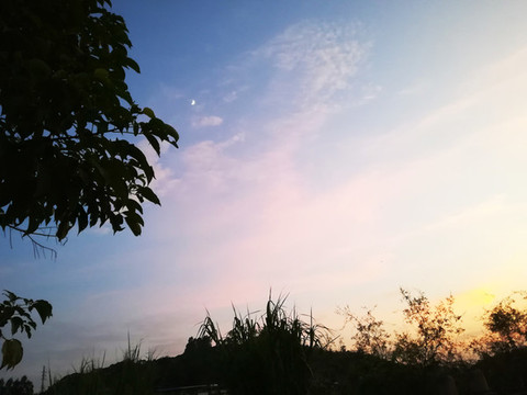 夕陽