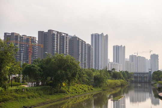 新區(qū)景色