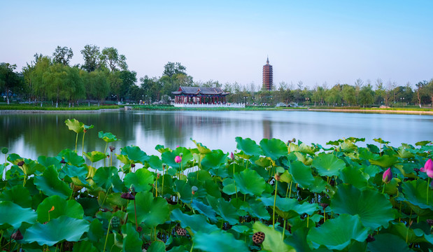 西海子公園