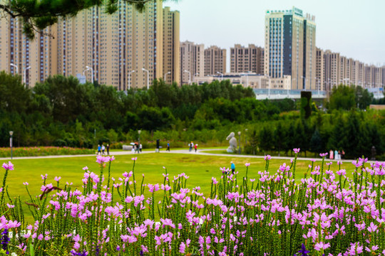 長(zhǎng)春市
