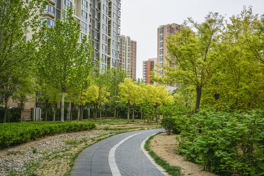 高檔小區(qū)園林路