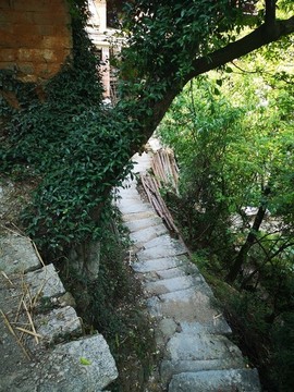 石板路