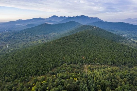 航拍山東青州云門山森林公園