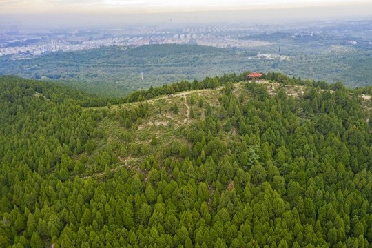 航拍山東青州云門山森林公園