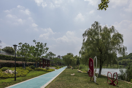 南京花神湖公園