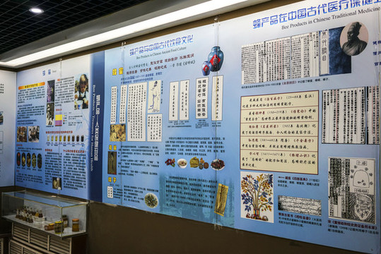 蜜蜂養(yǎng)殖文化展板