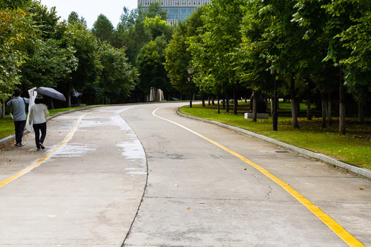 路