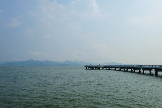 深圳灣