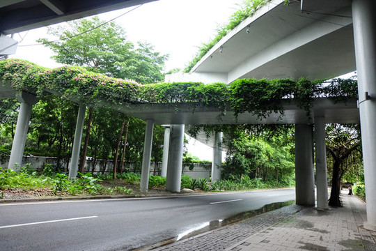 高架橋