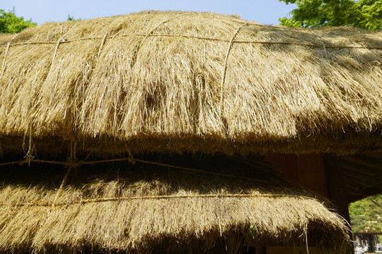 韓國(guó)民俗村的茅屋稻草屋頂