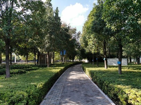 透水磚路面