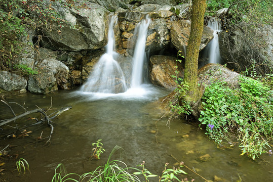 五岳寨森林公園