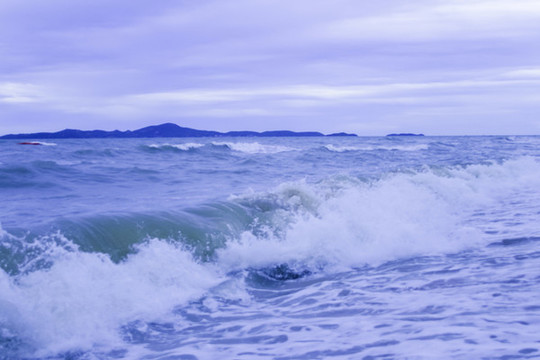 大海